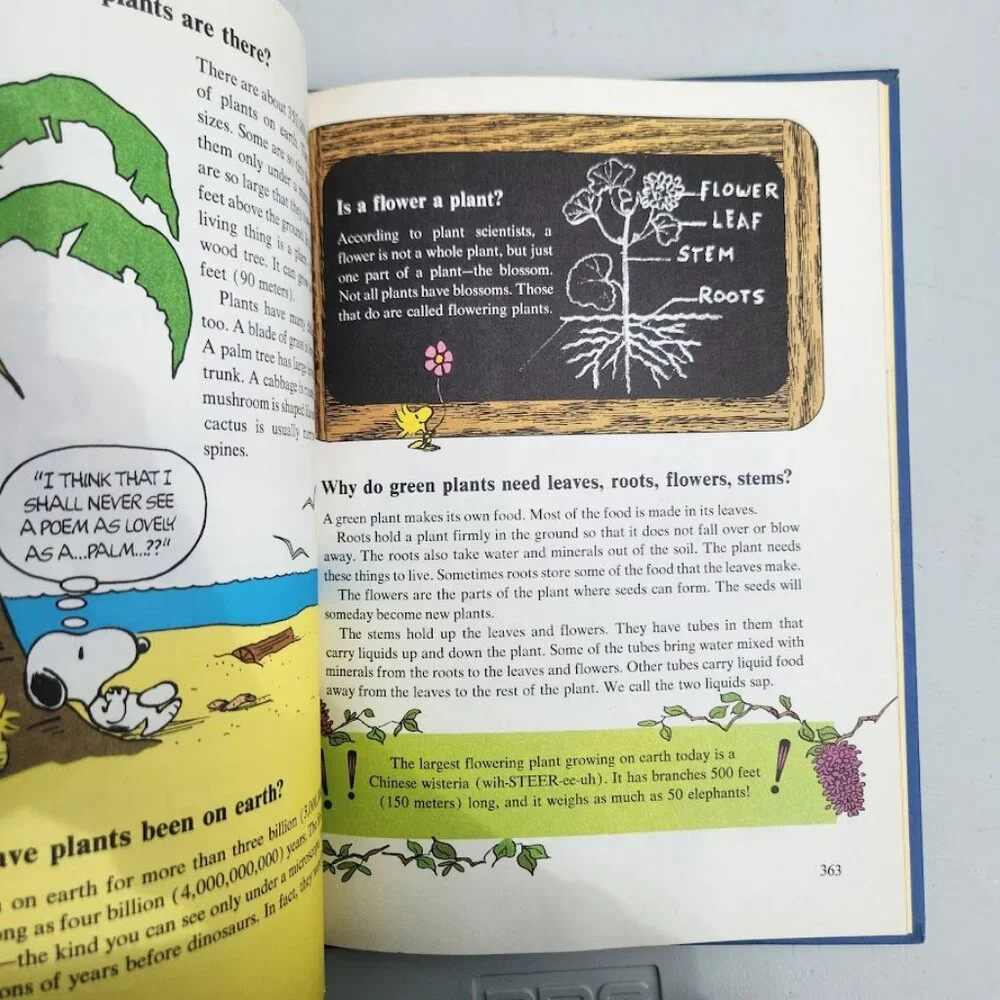 Charlie Brown's Cyclopeida Snoopy Encyclopedia Stars Planets Animals Dinosaurs V